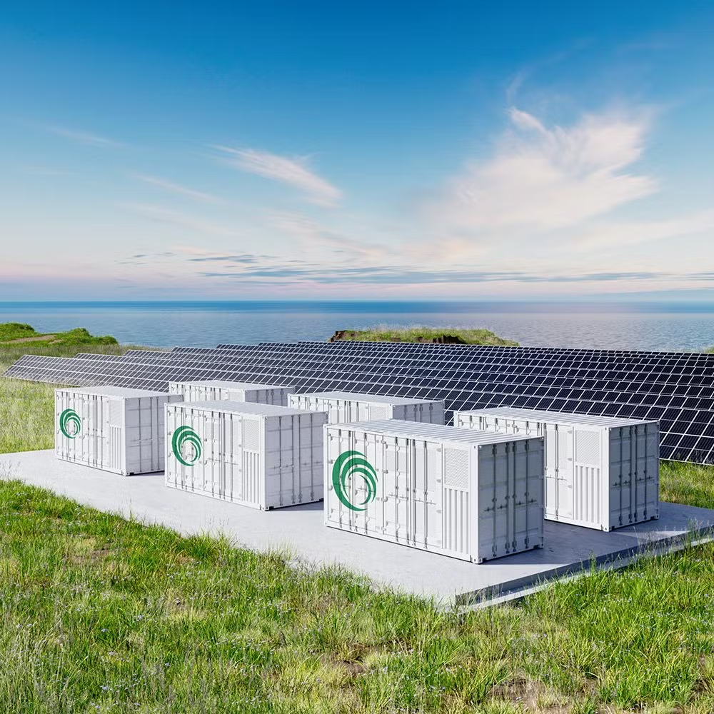 Utility Grade Energy Storage Accountability